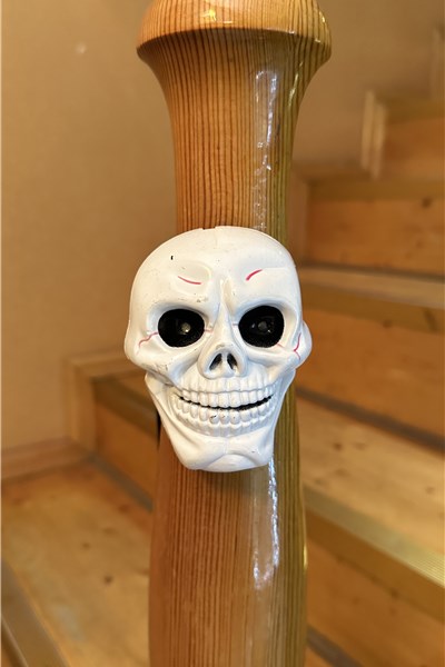 ����� ������